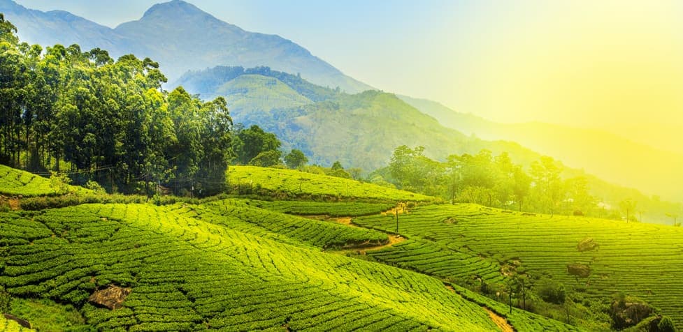 Munnar Hill Station Retreat
