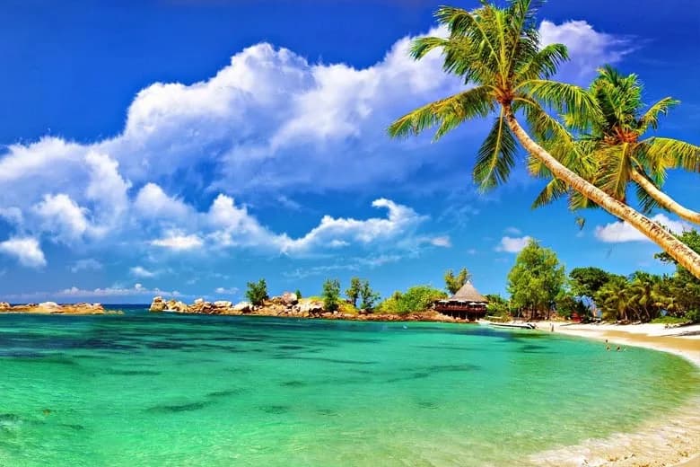Andaman Island Escape: 4 Nights 5 Days - Port Blair, Havelock & Neil Islands - image 1