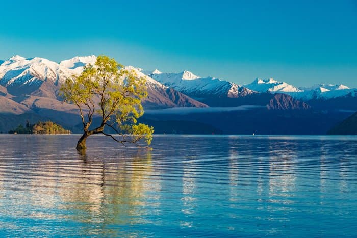 South Island Adventure: Queenstown to Christchurch