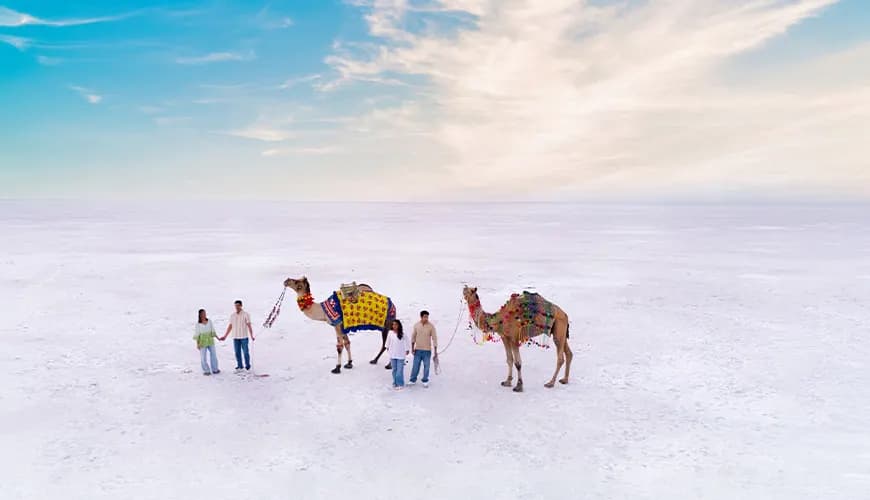 Egypt: White Desert & Oases Adventure