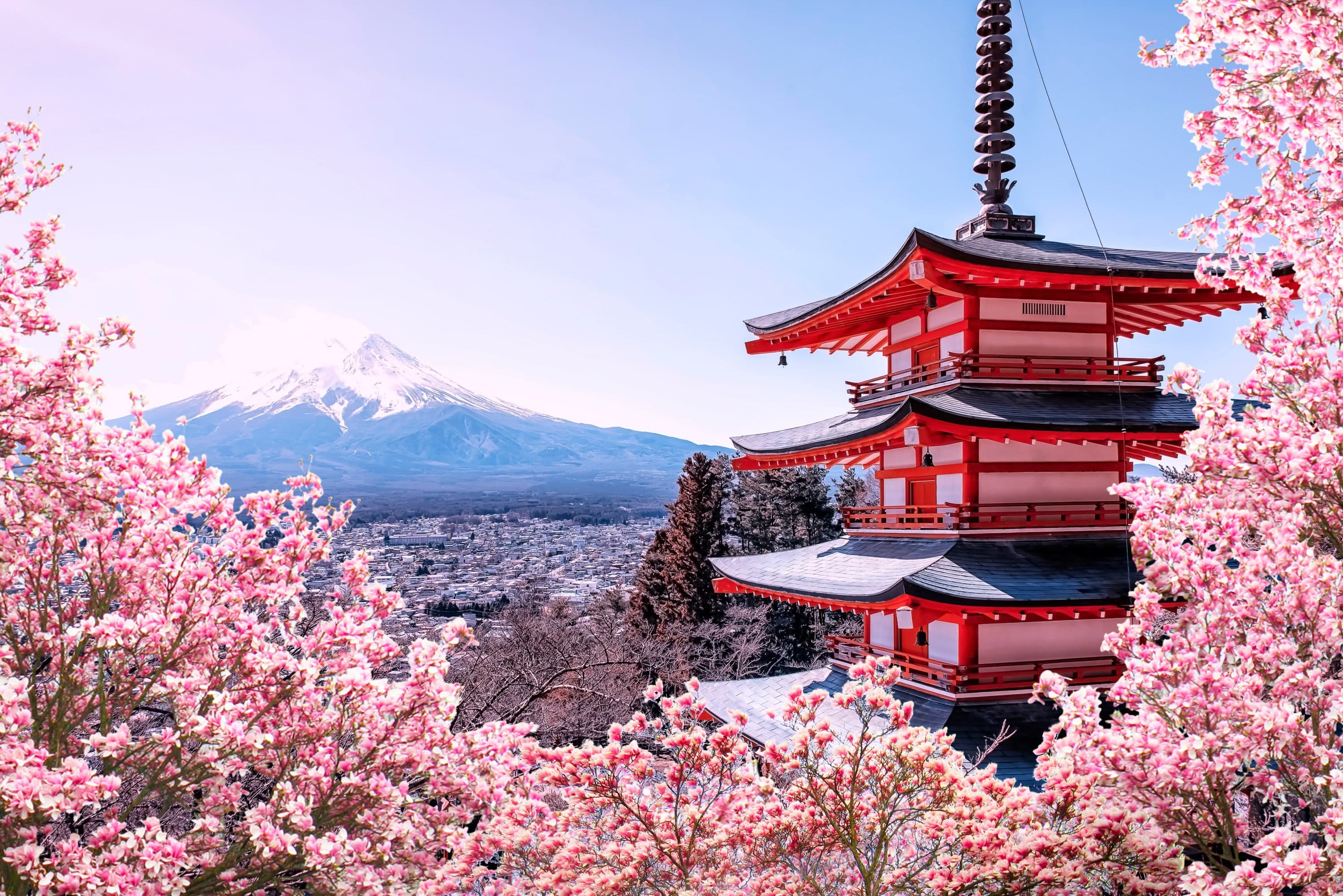 Cherry Blossom Special