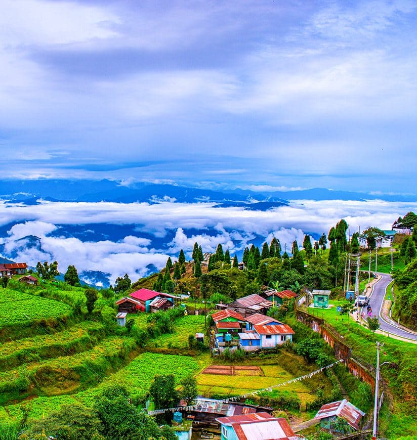 Darjeeling Tea Garden Retreat