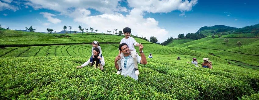 Darjeeling Summer Getaway
