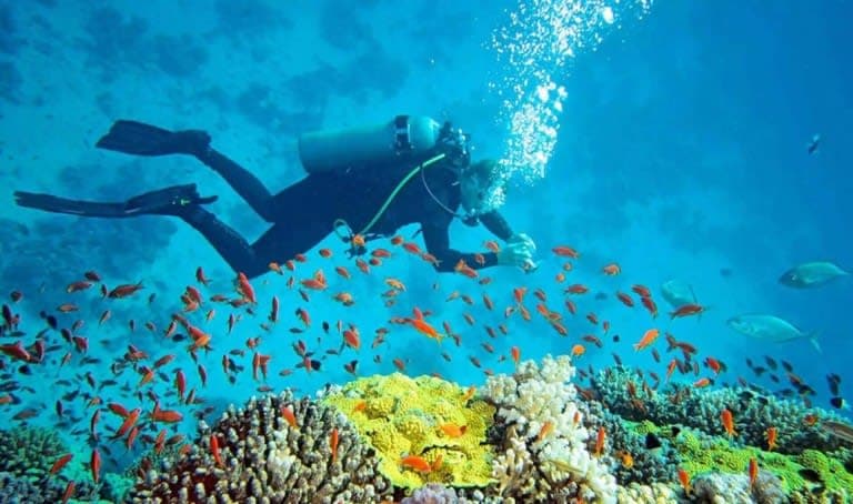 Andaman Adventure & Water Sports