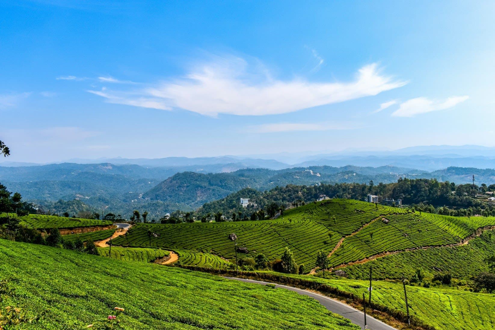Classic Kerala Escape - Munnar, Periyar, Kumarakom, Alleppey & Kochi - image 1
