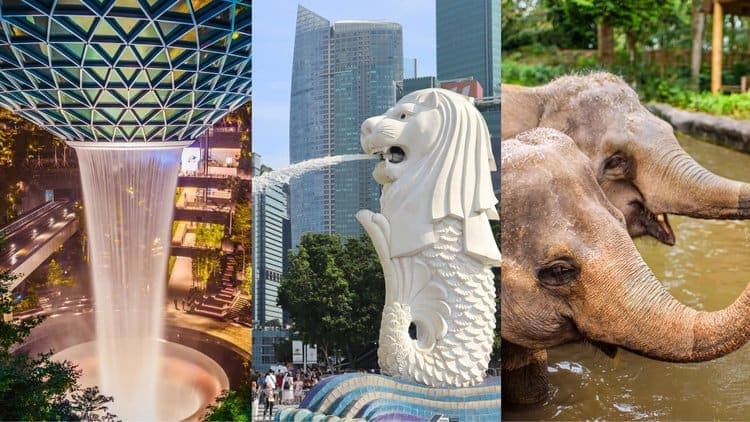 Singapore Essentials: City, Night Safari & Sentosa